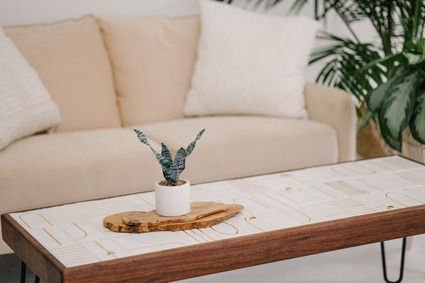 Glossy White Coffee Table - Eliana x Stampworthy Goods